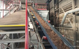 af23an4lo7_____IMG_20251119_094035