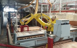 af23an4lo7_____IMG_20251119_094035