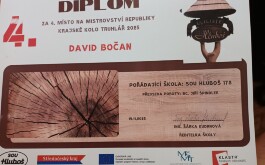 gt91ielhd9_____hlubos2025b