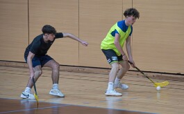 lb7shedjdg_____20251215_015