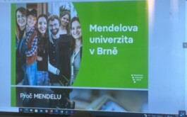 usm2qgc7ro_____WhatsApp Image 2026-01-23 at 09.56.03