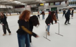 n3gf8542fk_____IMG_20260227_114752