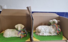 mm4safz4tx_____20260401_121833