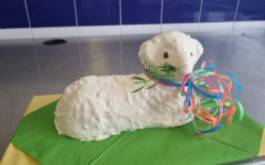 mm4safz4tx_____20260401_121833