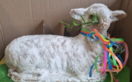 mm4safz4tx_____20260401_121833