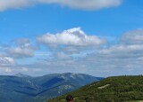 IMG_20240624_155352.jpg