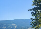 IMG_20240625_071955.jpg