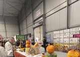 IMG_20241121_102427.jpg