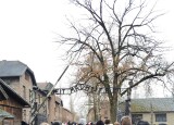 IMG_20241212_130138.jpg