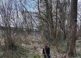 IMG-20250415-WA0017.jpg