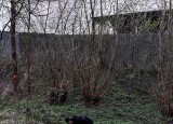 IMG-20250415-WA0011.jpg