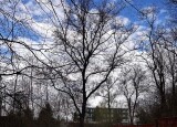 IMG-20250415-WA0013.jpg