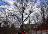 IMG-20250415-WA0014.jpg