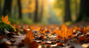 Podzimní prázdniny a ředitelské volno